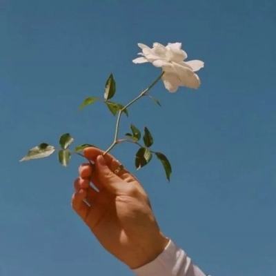 火线精英360版下载